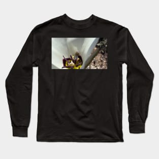 Wild Bee Butt Long Sleeve T-Shirt